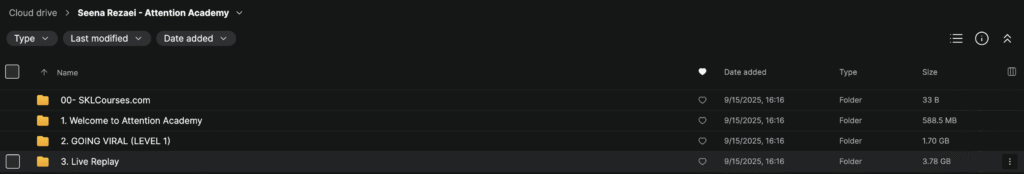 Seena Rezaei – Attention Academy