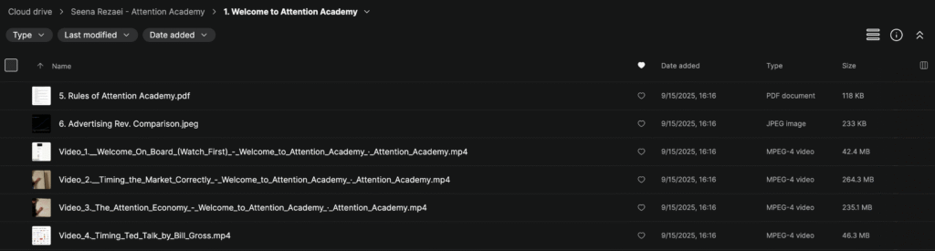 Seena Rezaei – Attention Academy