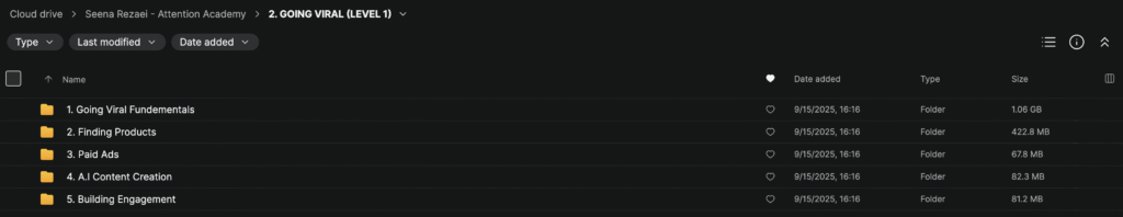 Seena Rezaei – Attention Academy