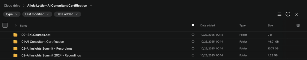 Alicia Lyttle – AI Consultant Certification